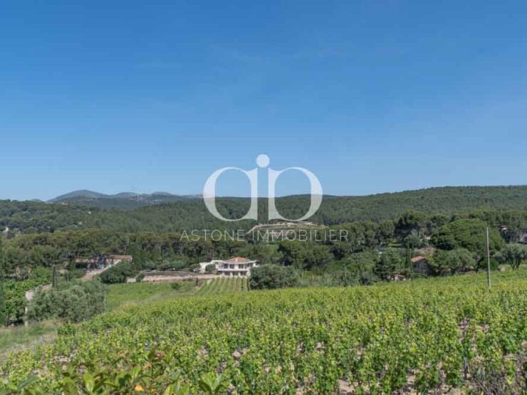 CASSIS: Villa moderne dans les vignes - Jardin - Astone Immobilier