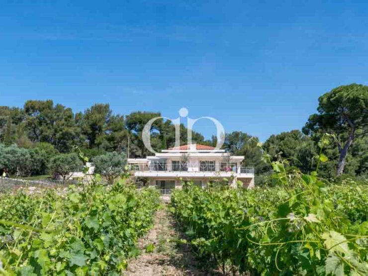 CASSIS: Villa moderne dans les vignes - Jardin - Astone Immobilier